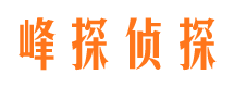 杏花岭市私人调查